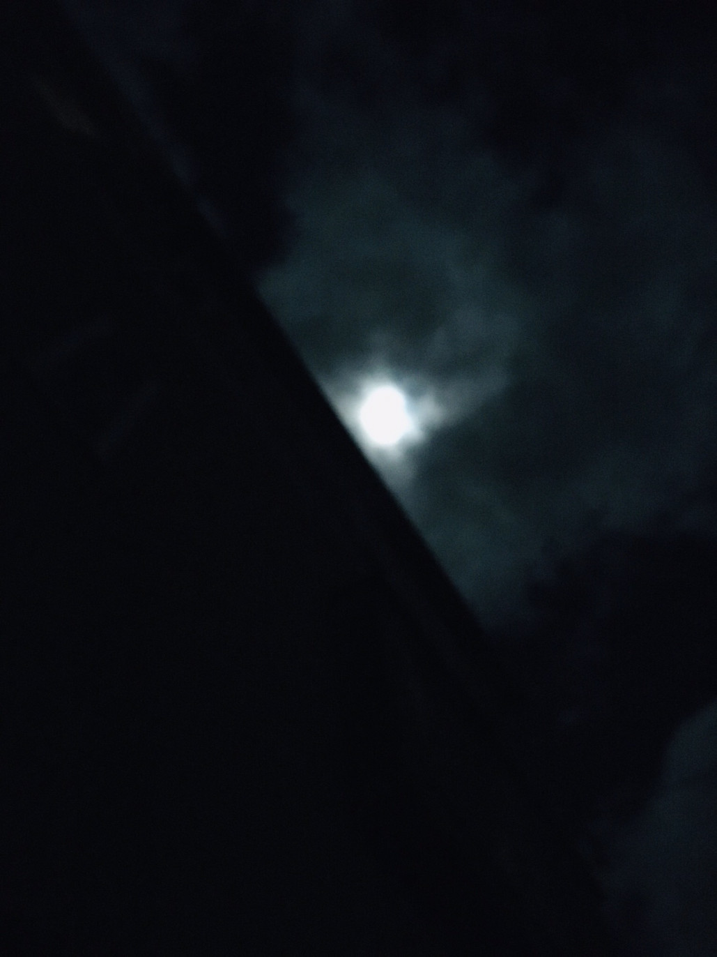嵐の月光